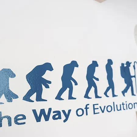 Barullo - Cubiculos - Literas -